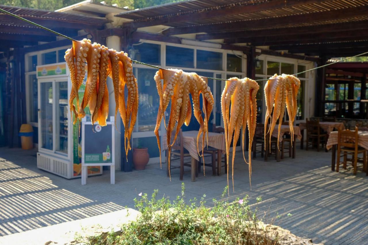 Villa Demetra Kissamos Bagian luar foto