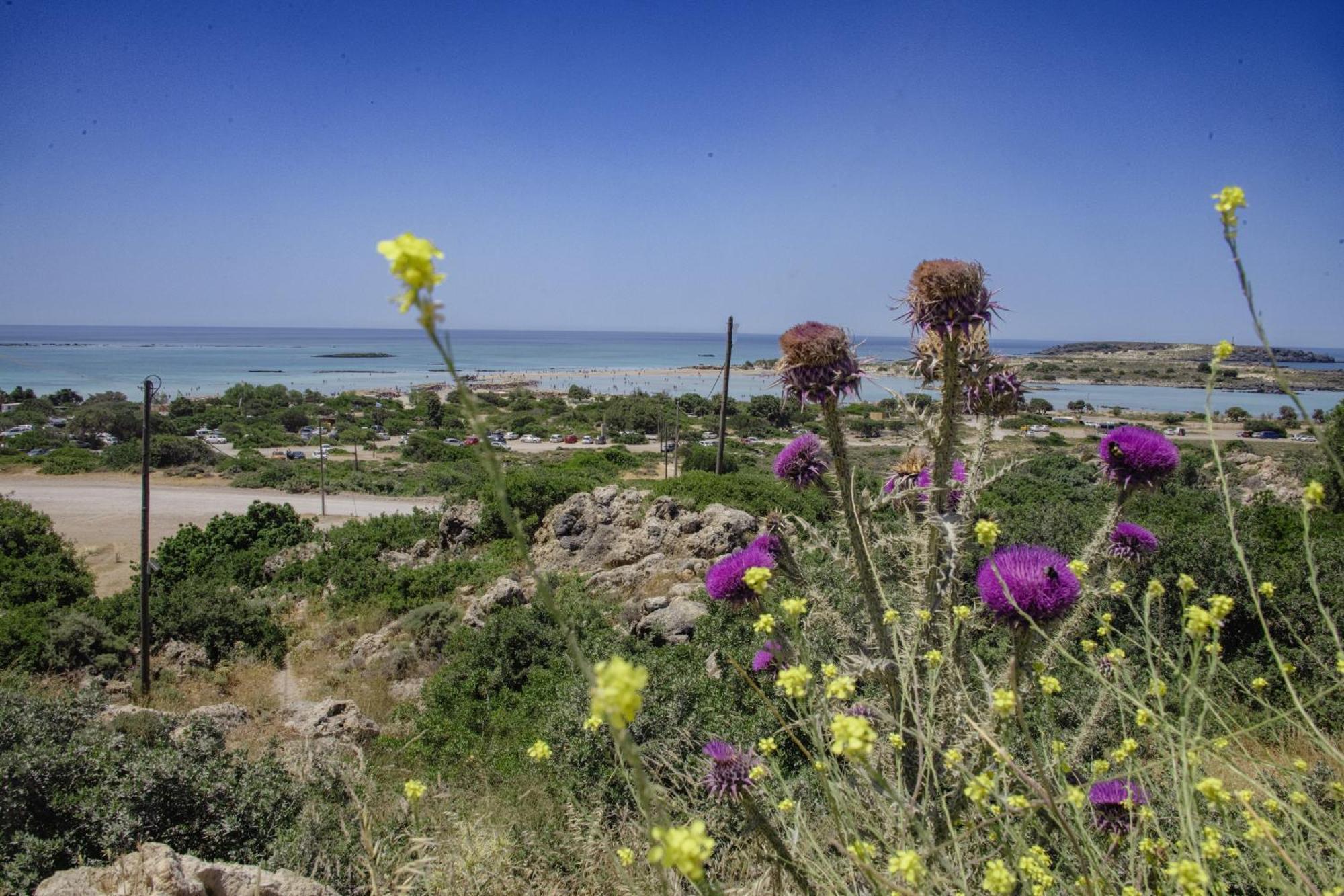 Villa Demetra Kissamos Ruang foto